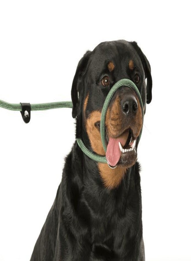 نوترا بت طوق ومقود انزلاقي 3 في 1 من نوترابيت للكلاب | طوق ومقود قابل للتعديل | حبل نايلون متين للتدريب والمشي | أخضر | صغير - Image 4